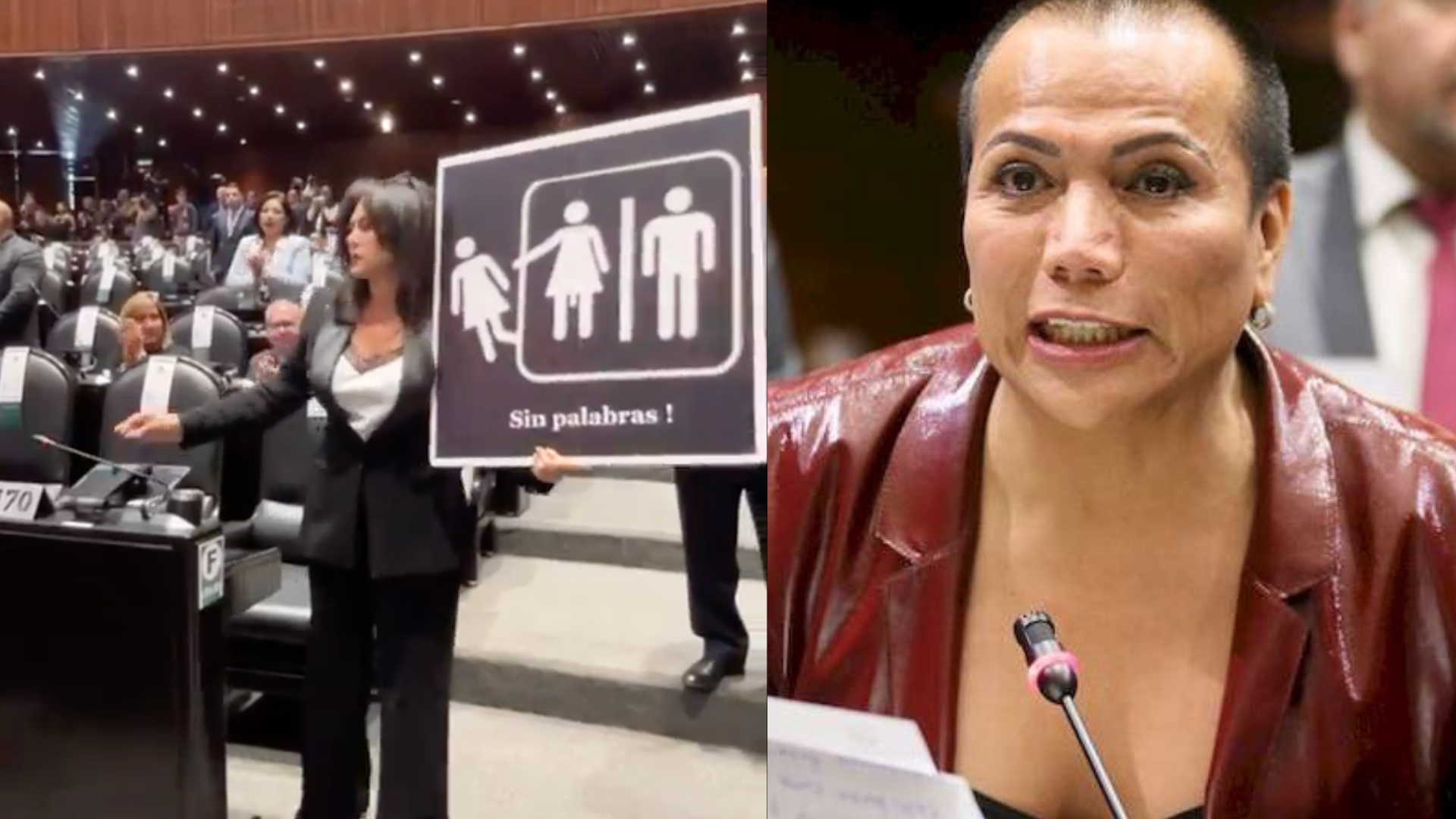 The Electoral Tribunal of the Judiciary of Mexico (TEPJF) has convicted Congresswoman Teresa Castell of “gendered violence” towards a trans-identified male politician, Salma Luévano, for referring to him as a “man.” This incident shortly follows news that a former Congressman had similarly been convicted for the exact same “crime” against Luévano. Castell’s incident date back […]